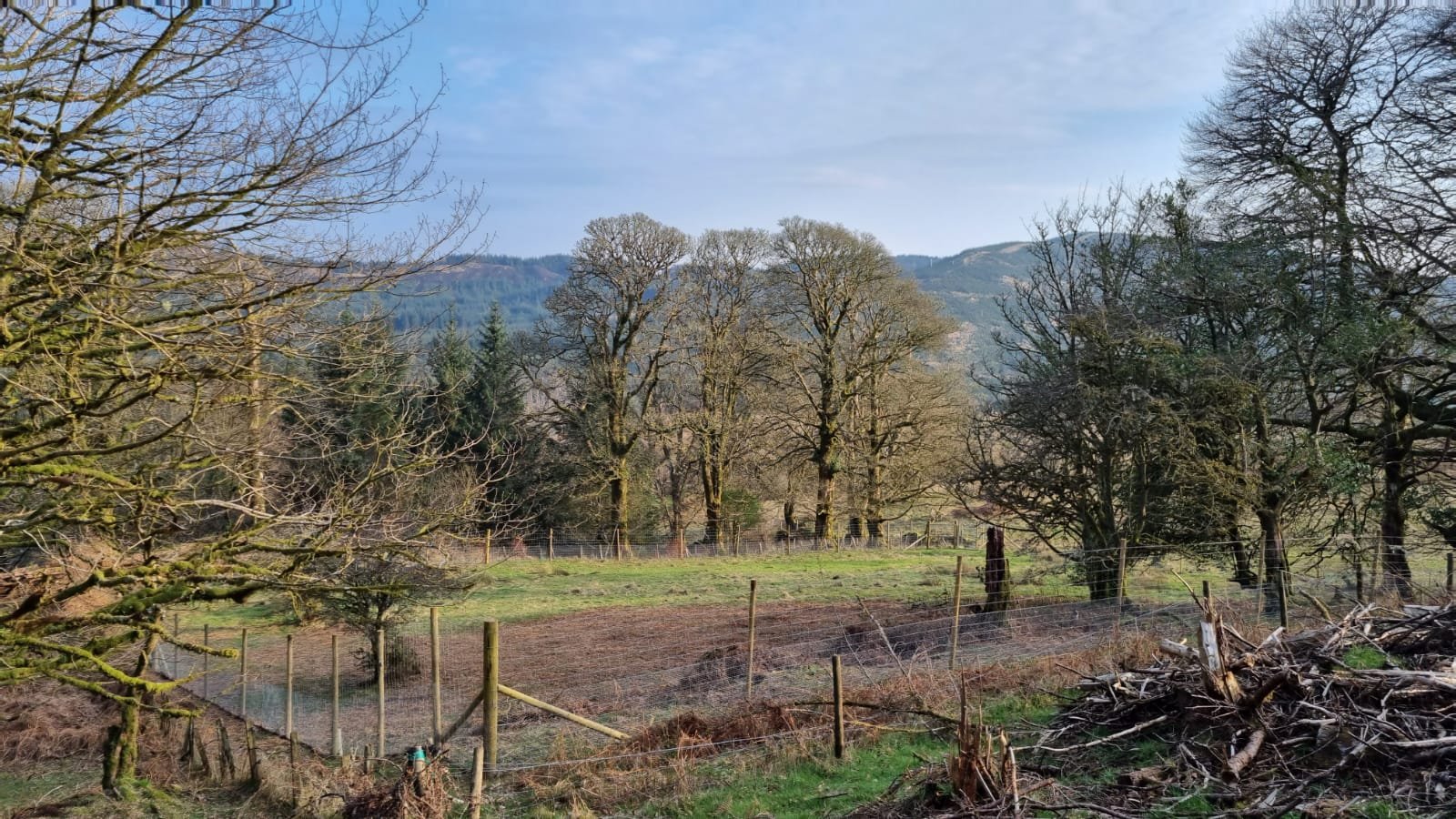 Paddock from just above