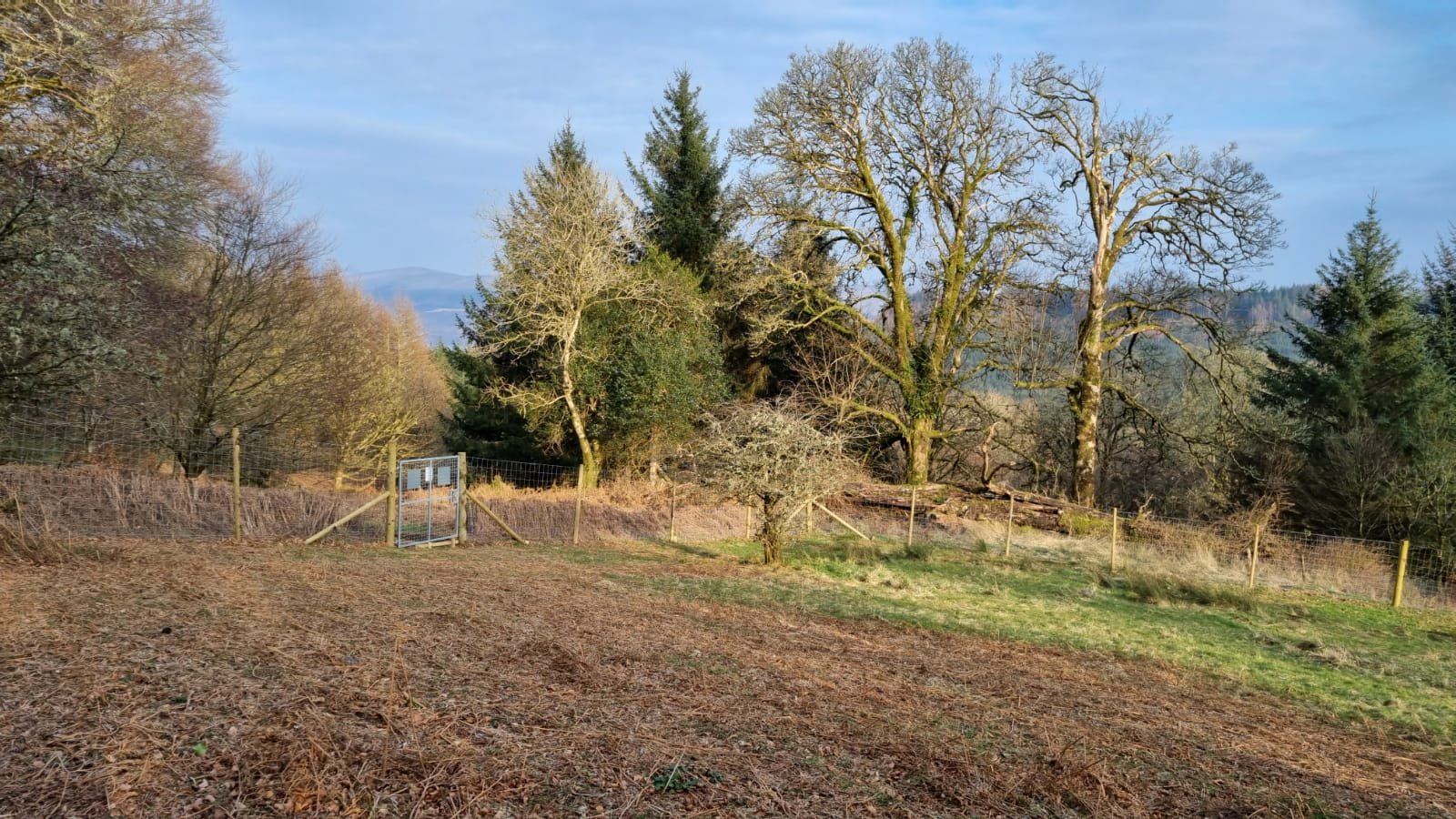 Paddock looking towards Loch Fyne